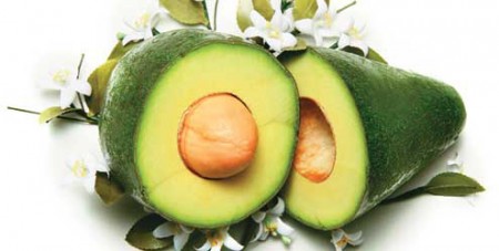 Beneficios do Abacate